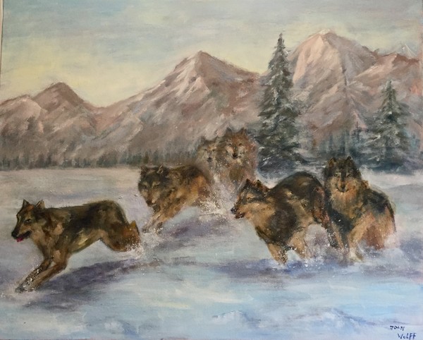 WOLVES