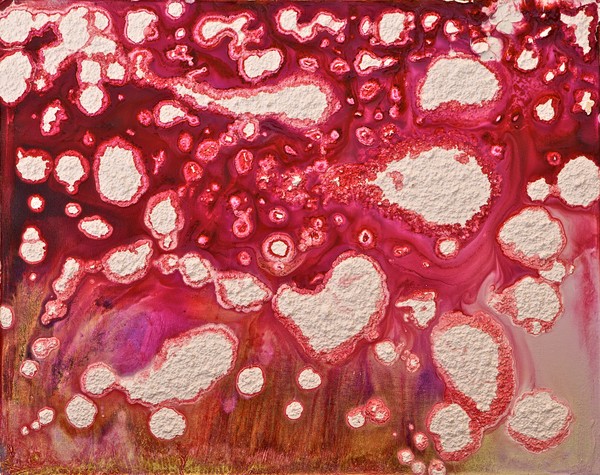From the Spirit Series #6