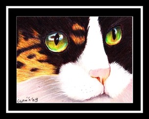 nc art orig cp multicolor cat