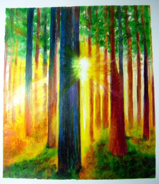 Colored pencil 11x14 February