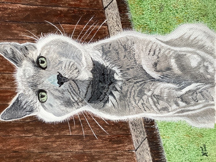Just a pet cat for Matt,Jade, Josh and Summer.