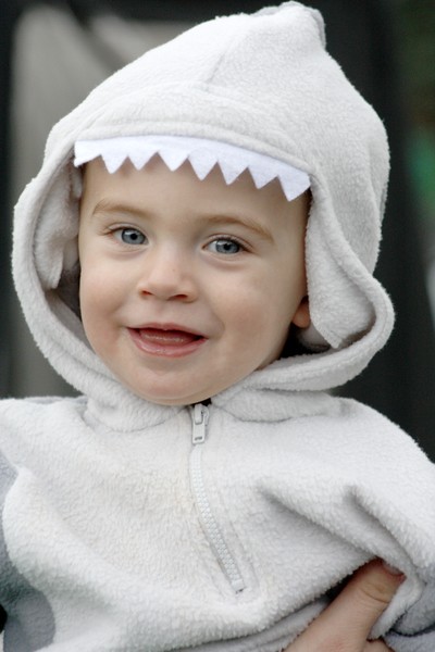 SHARK!