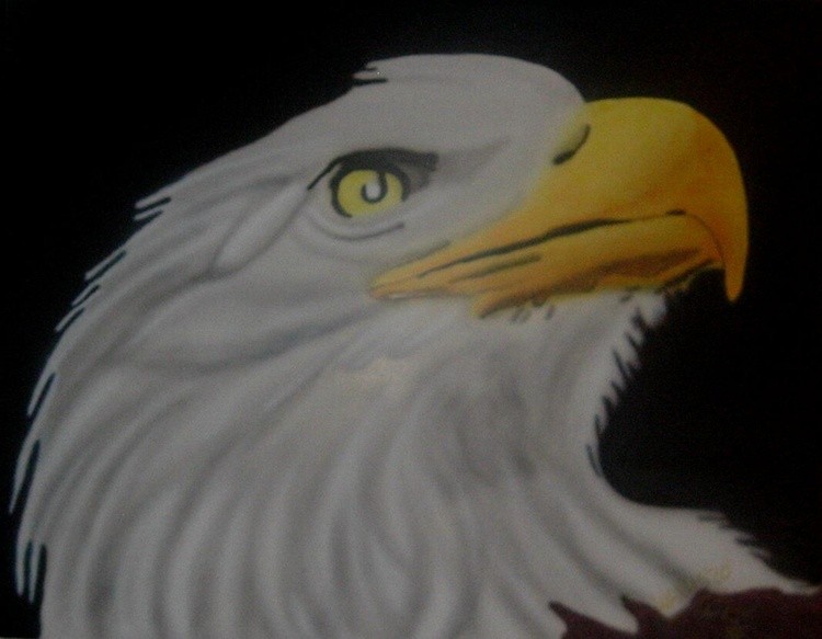 eye of the eagle