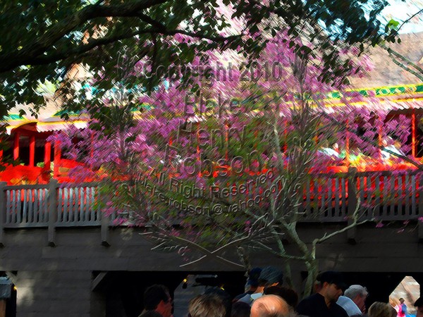 Cherry Tree Walt Disney World