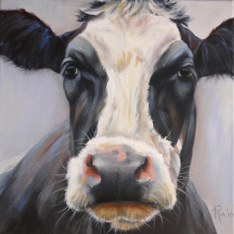 Cow Frieda