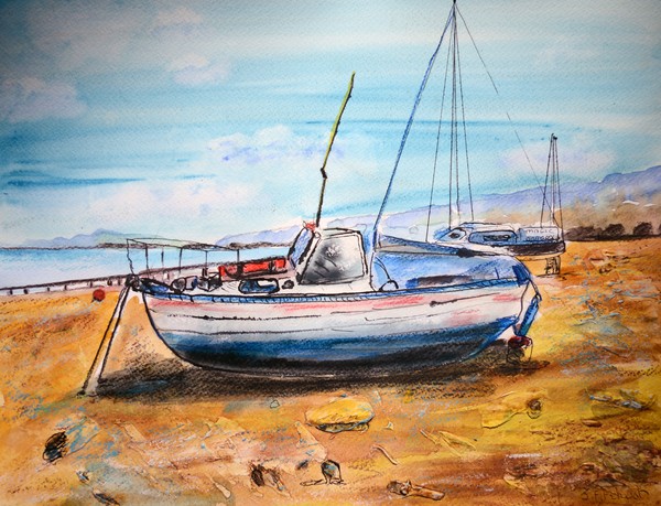 Moored Boats