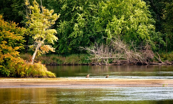 Sandbar