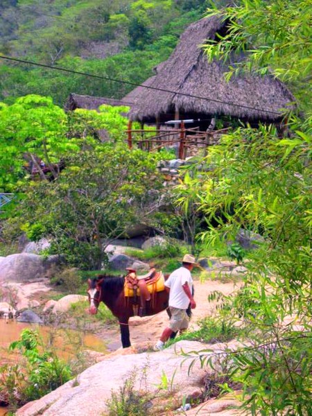 Man & horse