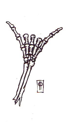 Shaka