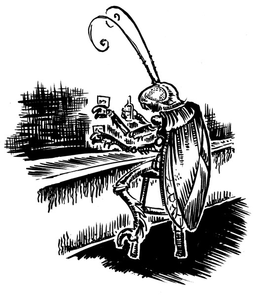 Drinking bug