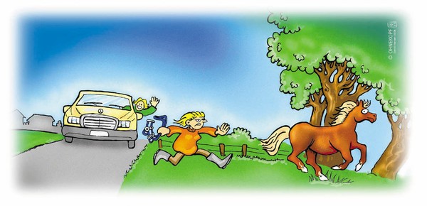 Horse-Cartoon