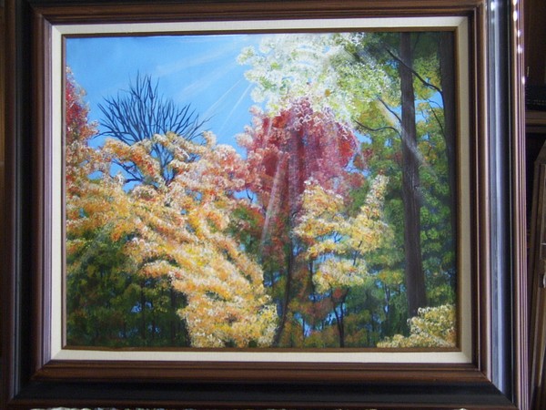 Fall Tree in the Sunlight