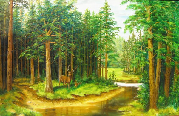 Fir Forest
