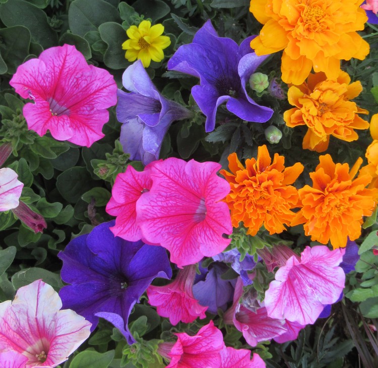 MY COLOR TOUCH FOR YOU !
