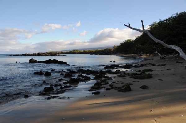 Big Island