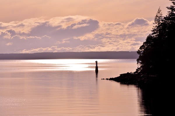 Evening on the Water