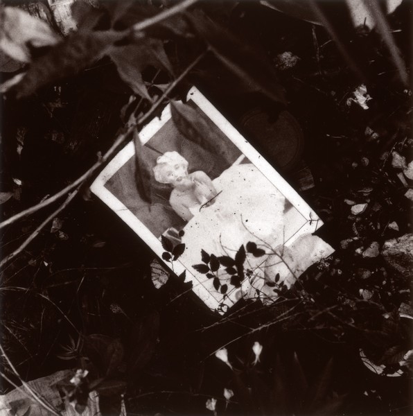 Found-Marilyn