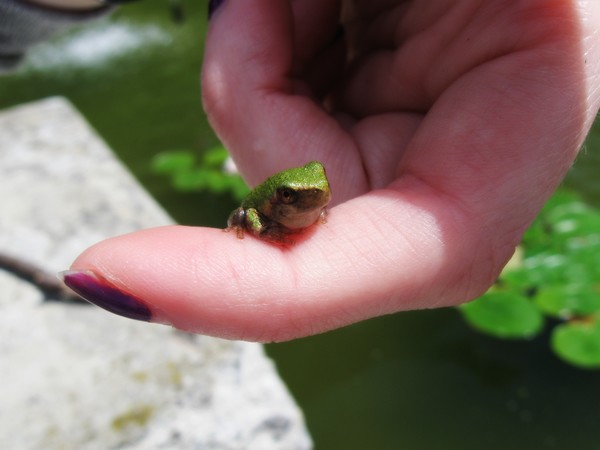 Teeny Weeny