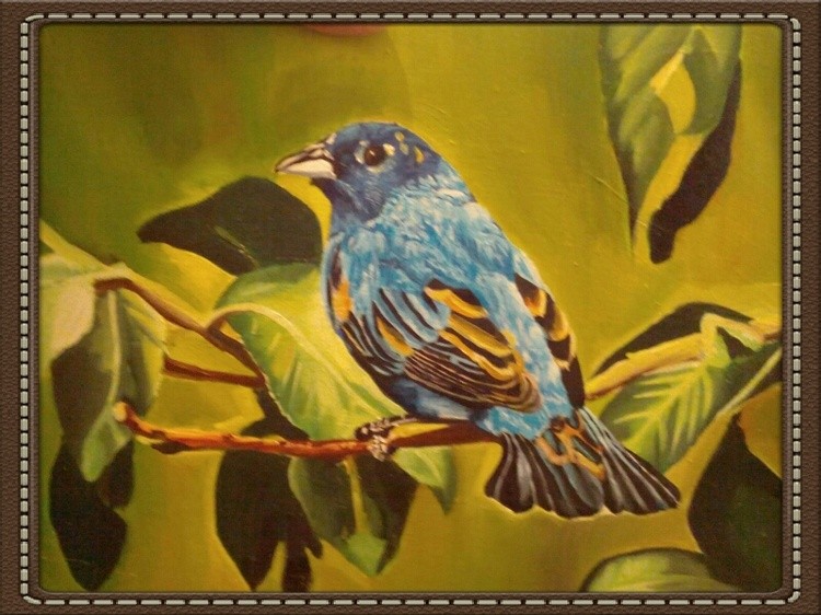 Little Bird