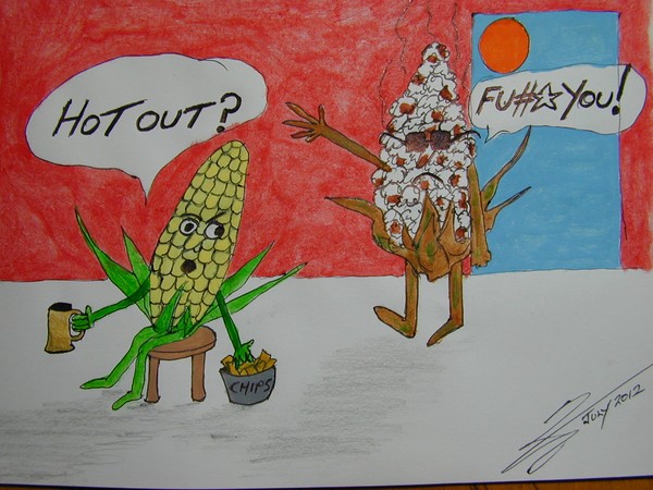 Once Upon a Hot Summer