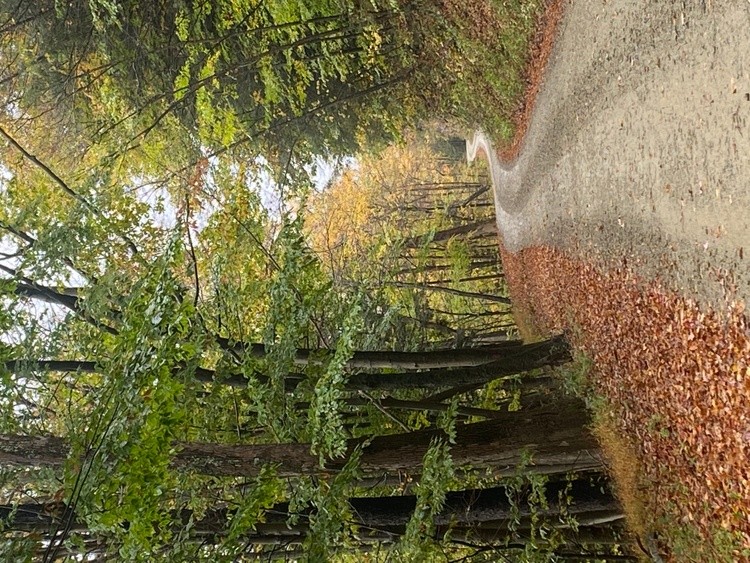 Winding Along 