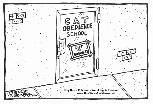 BOW WOWS & MEOWS® CAT Cartoon - SIGN: Out of Bu...