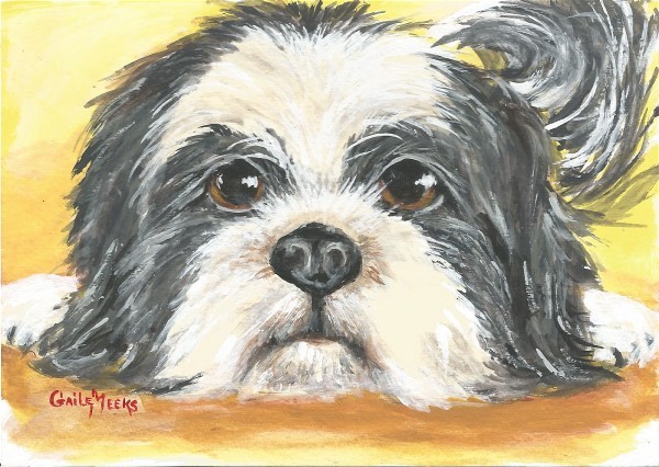 Dolly