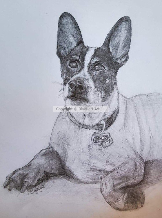 Zeus