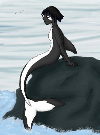 Killer Whale