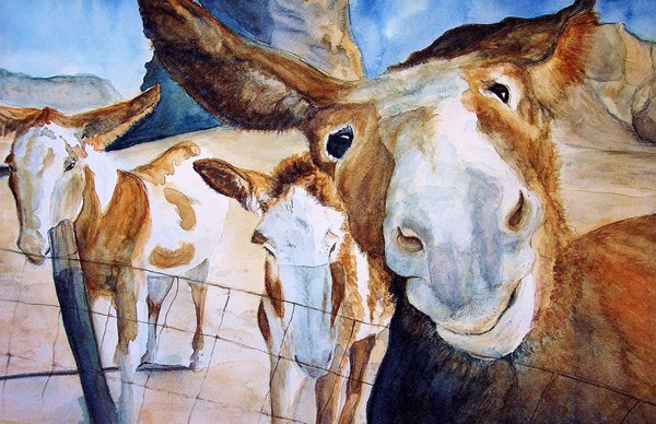 Friendly Donkeys