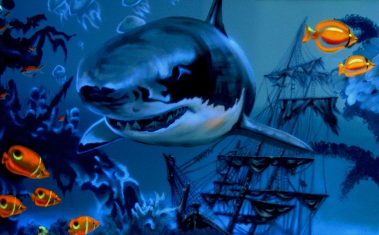 shark