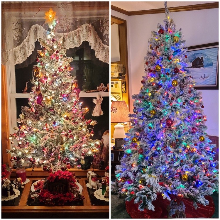 GETTING READY FOR  CHRISTMAS 