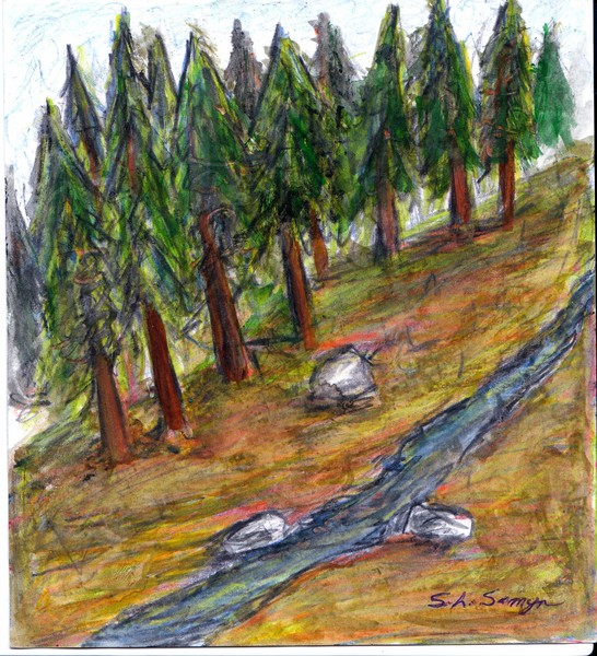 Trees on the Hill