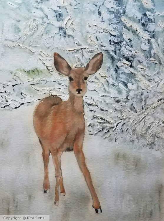 Young Doe