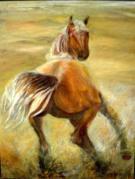 Horse in field