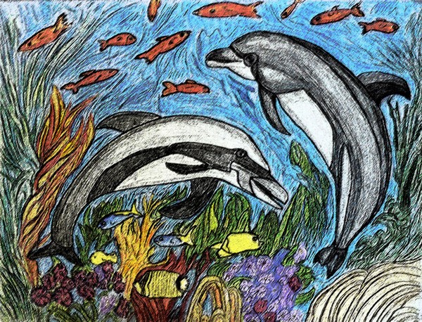Under The Sea