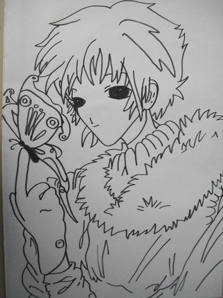 butterfly 