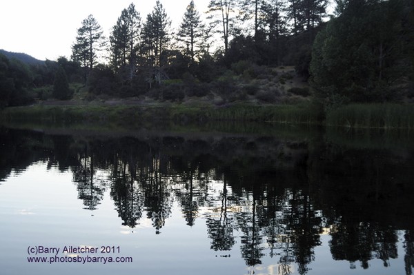 Reflection