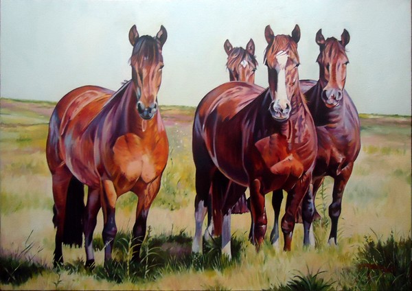 Horses