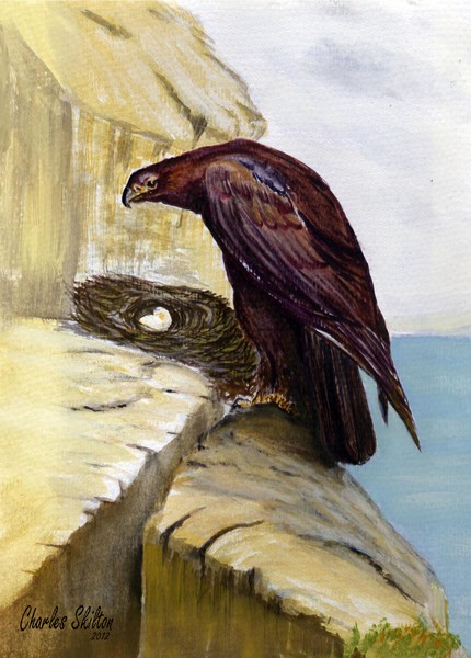 Eagle