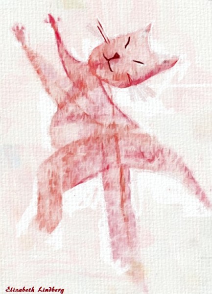 Cat dance