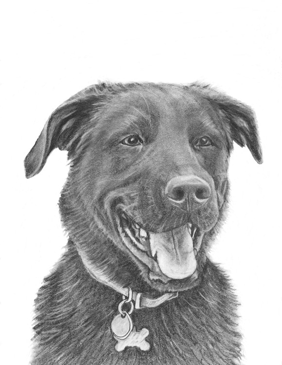 Rex 
