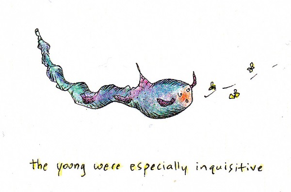 TheYoung