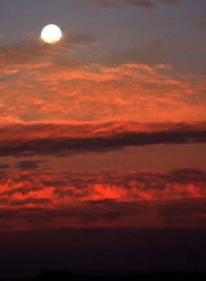 African moon