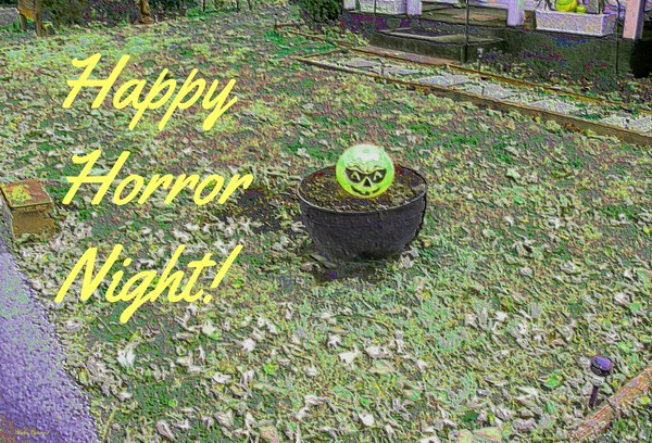 BeFunky New Pictures 737.jpg