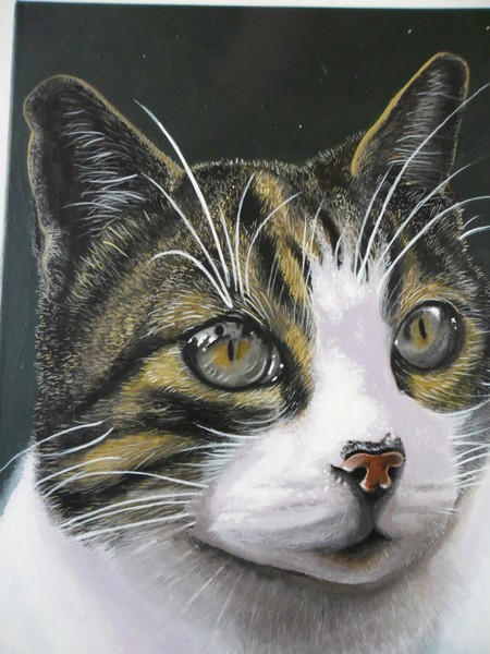 Beamish (my cat)