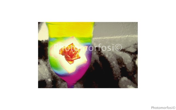 Photomorfosi©1994 - Serie Il calice-5
