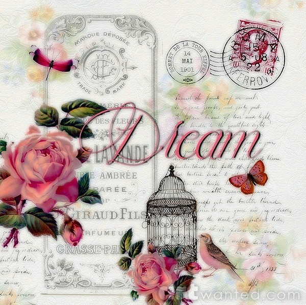dream pink vintage bird