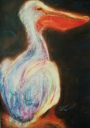 Pelican