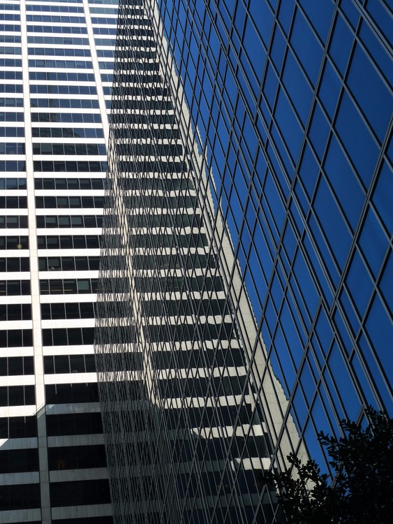 Windows Of Manhattan - 23